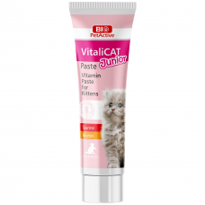 Bio PetActive VitaliCat Junior Vitamin Paste for Kittens 100ml, PA363, cat Supplements, Bio PetActive, cat Health, catsmart, Health, Supplements